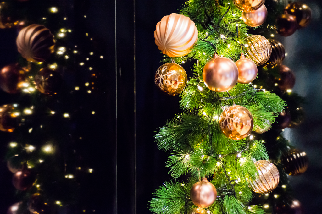 Have More Than One Christmas Tree in Your Home