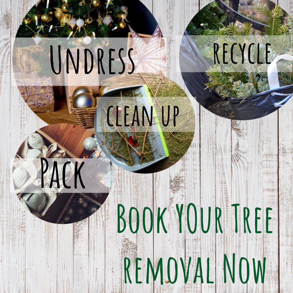 Christmas Tree Recycling Made Easy
