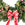 20 inch Decorated Christmas Wreath with Bow from Pines and Needles