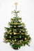 Festive Decorated Christmas Tree from Pines and Needles in Gold Ribbon