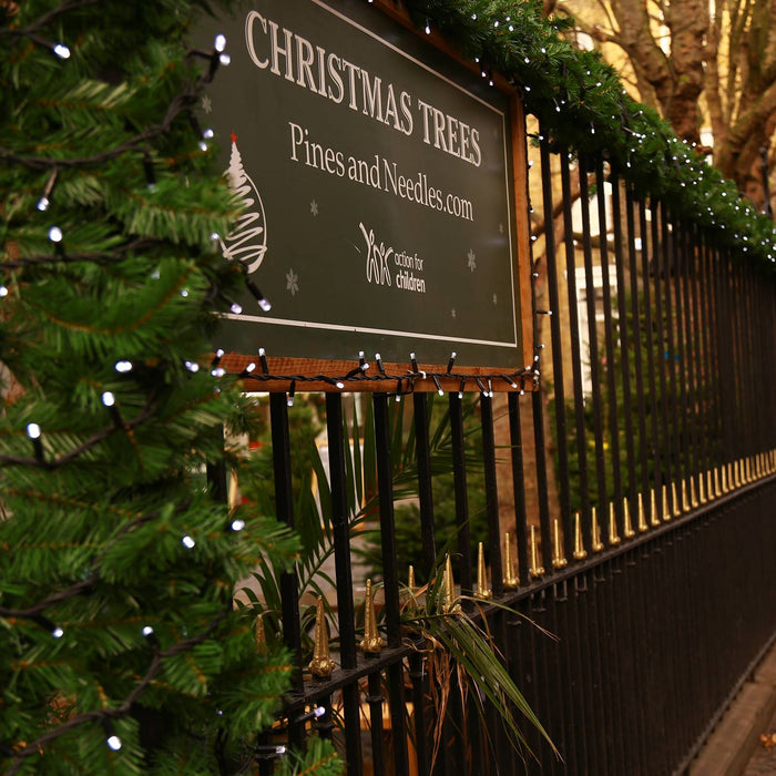 Pines and Needles Pre-Season Offers