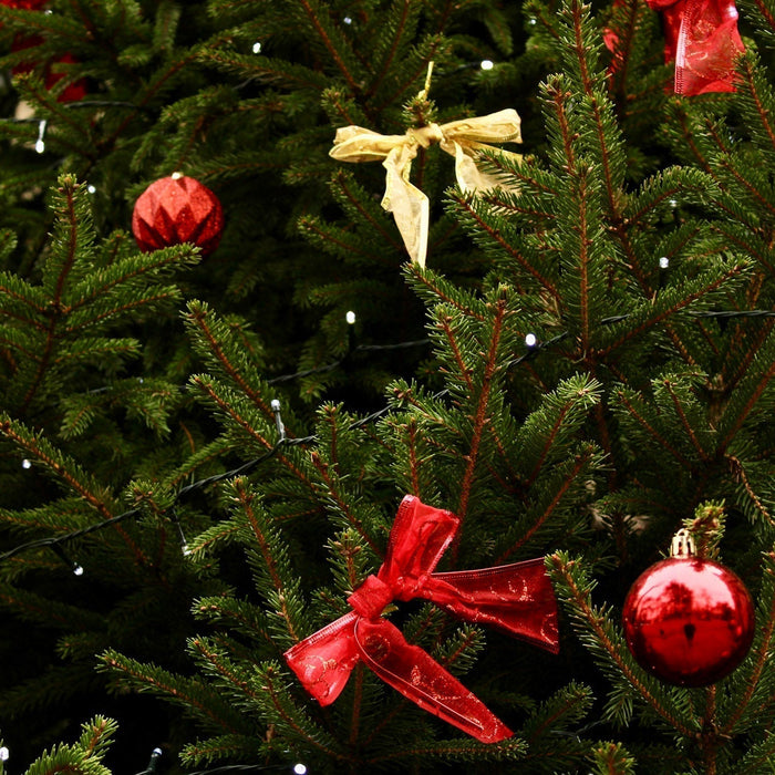 Keep Your Real Christmas Tree Fresh This Festive Season