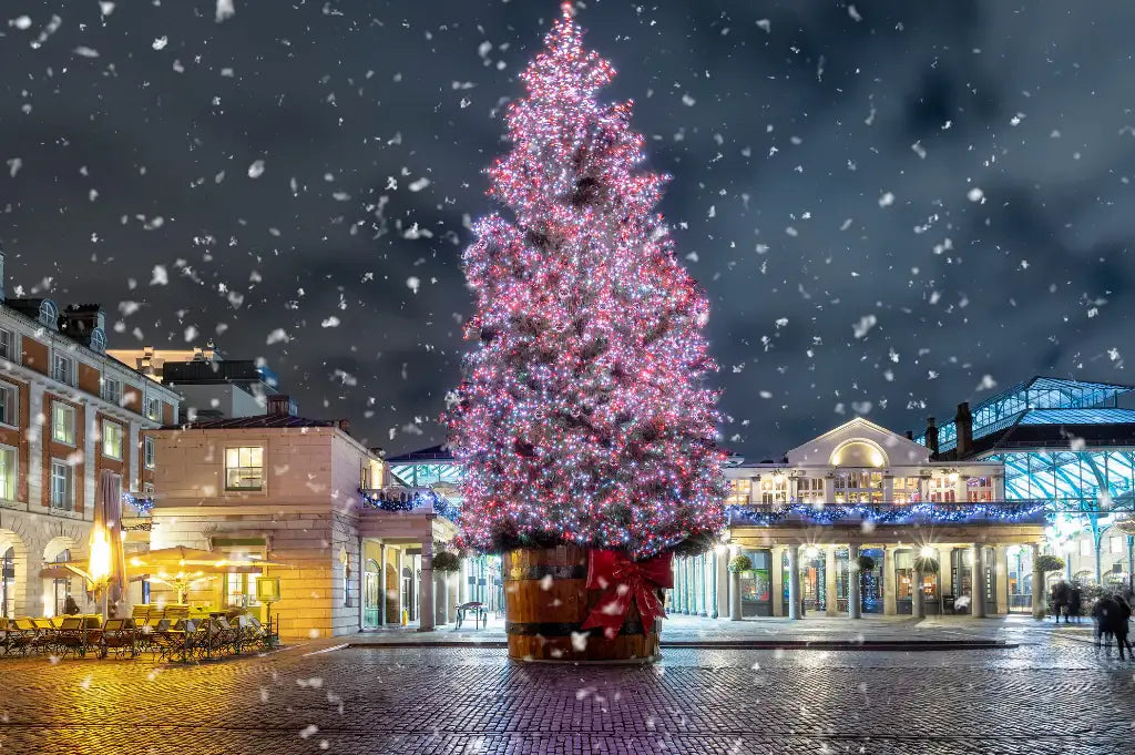 Guide to having the perfect festive day this Christmas season! | Pines and Needles | Blog