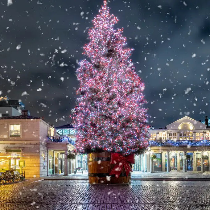 Guide to having the perfect festive day this Christmas season! | Pines and Needles | Blog