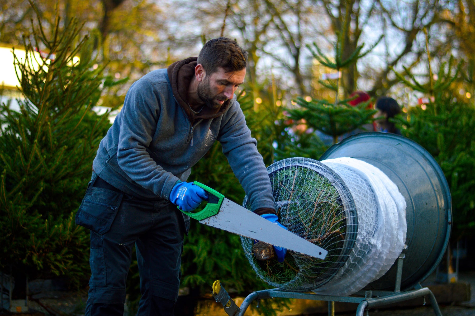 Top Tips for Choosing your Perfect Christmas Tree