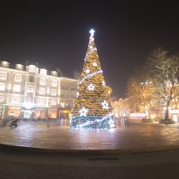 Lights, Lights and more Lights with Pines and Needles