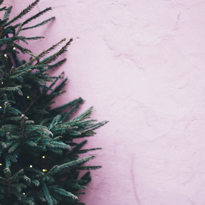 A Christmas Tree in every room with Pines and Needles