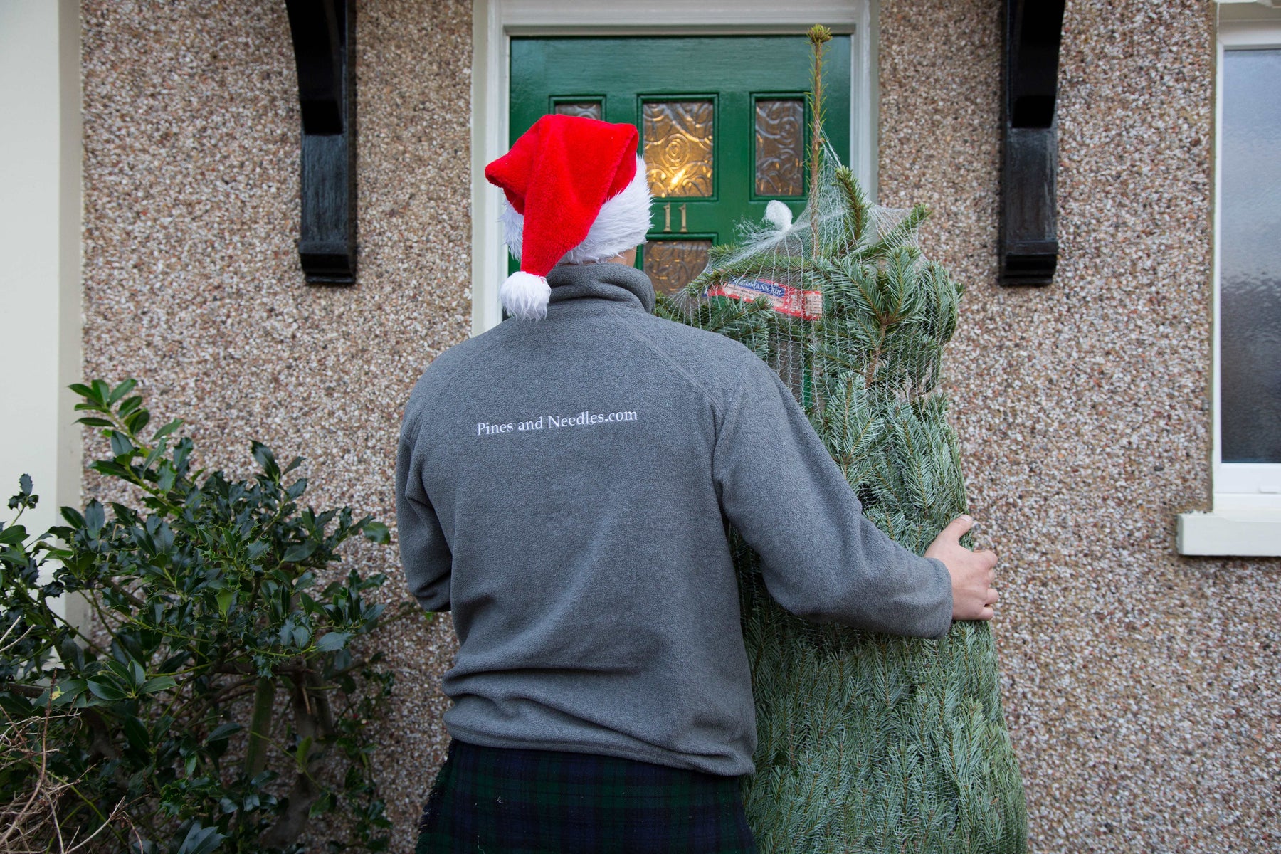 Why You Should Order Your Tree Early This Year?