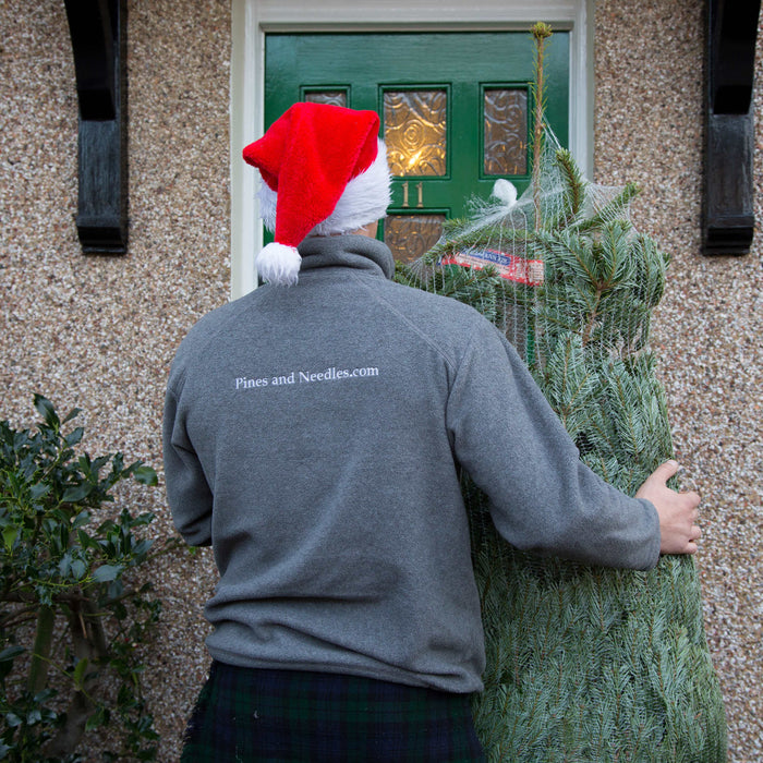 Why You Should Order Your Tree Early This Year?