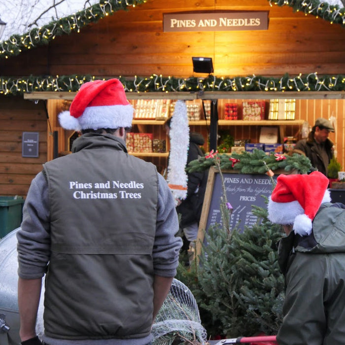 Pines and Needles are popping up everywhere in London