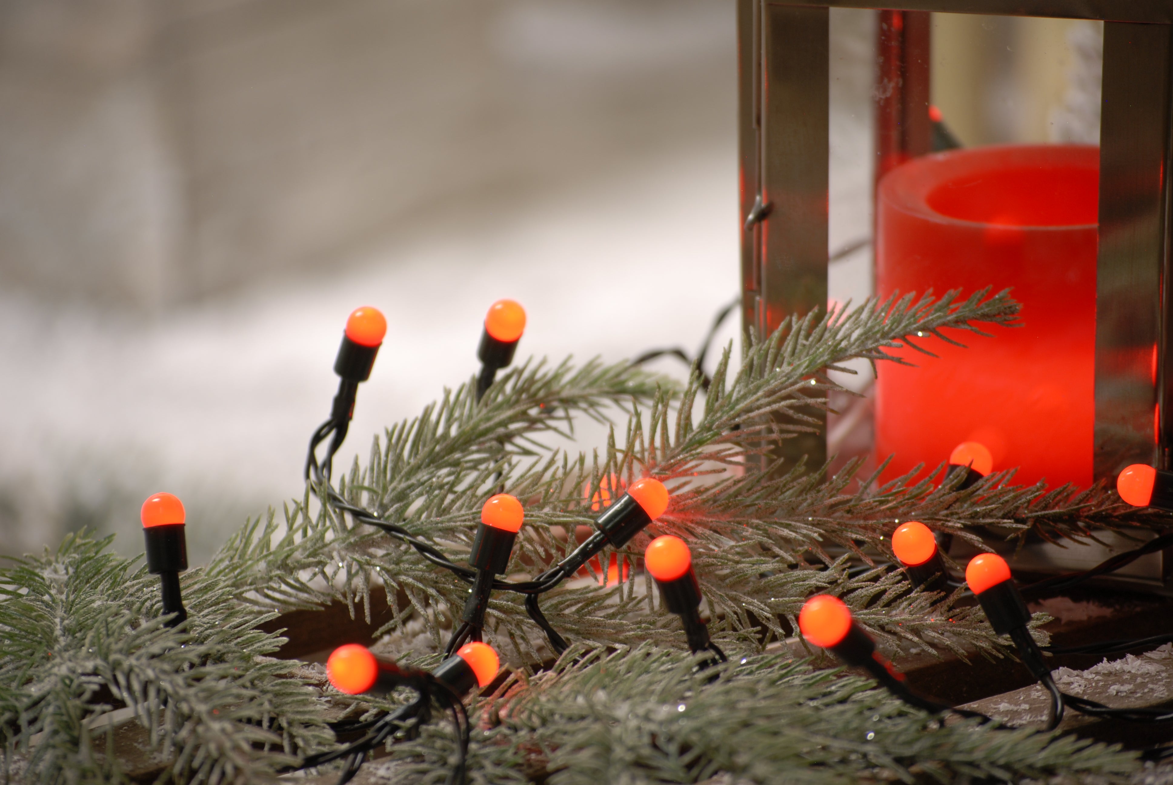 100 Red Berry LED Battery Lights Pines and Needles