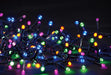 Buy 1000 Glow Worm Pastel Christmas Lights_Compressed From Pines and Needles