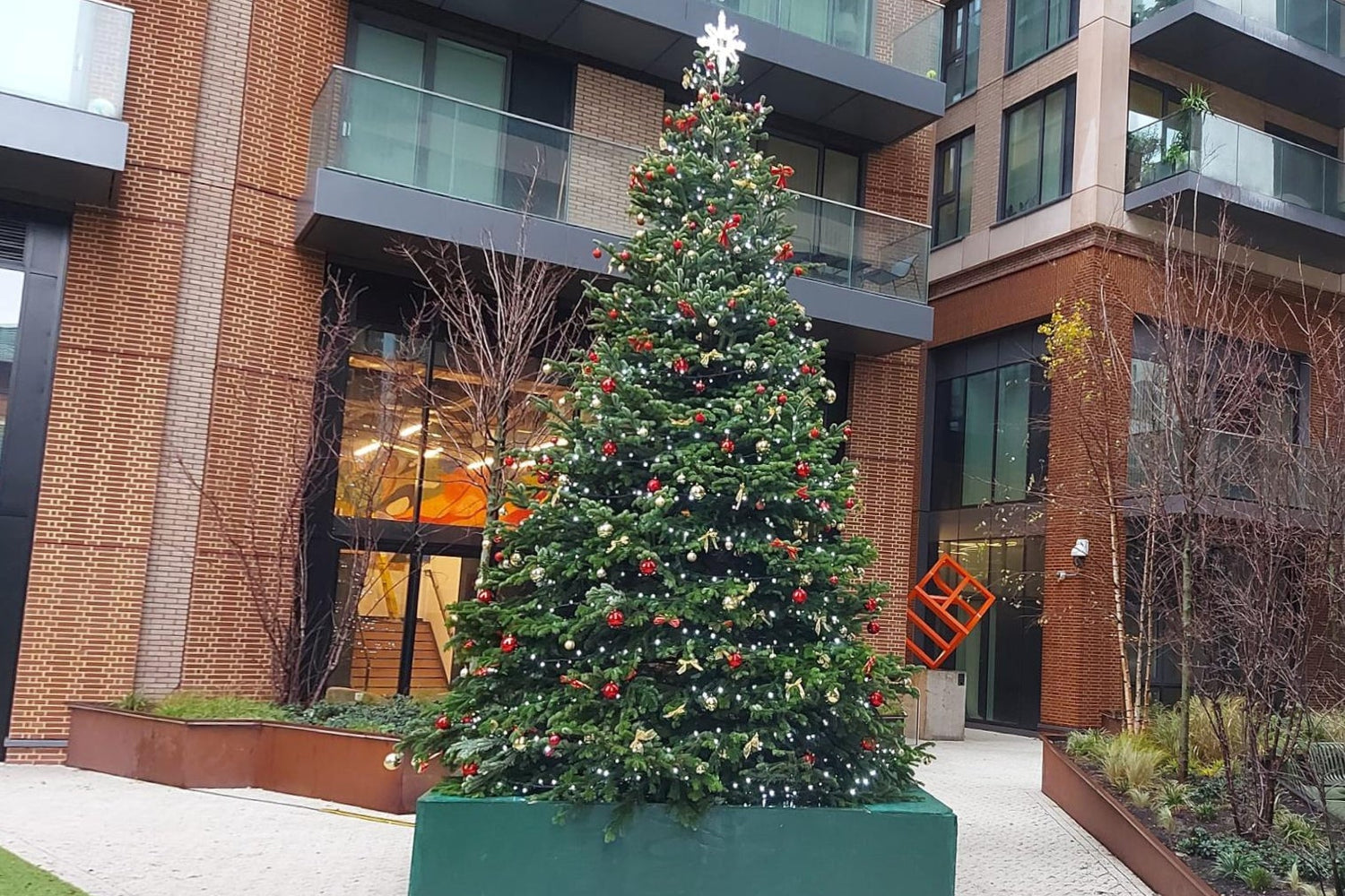 Decorated Christmas tree in front of a building