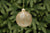 Frosted Gold Glitter Glass Bauble