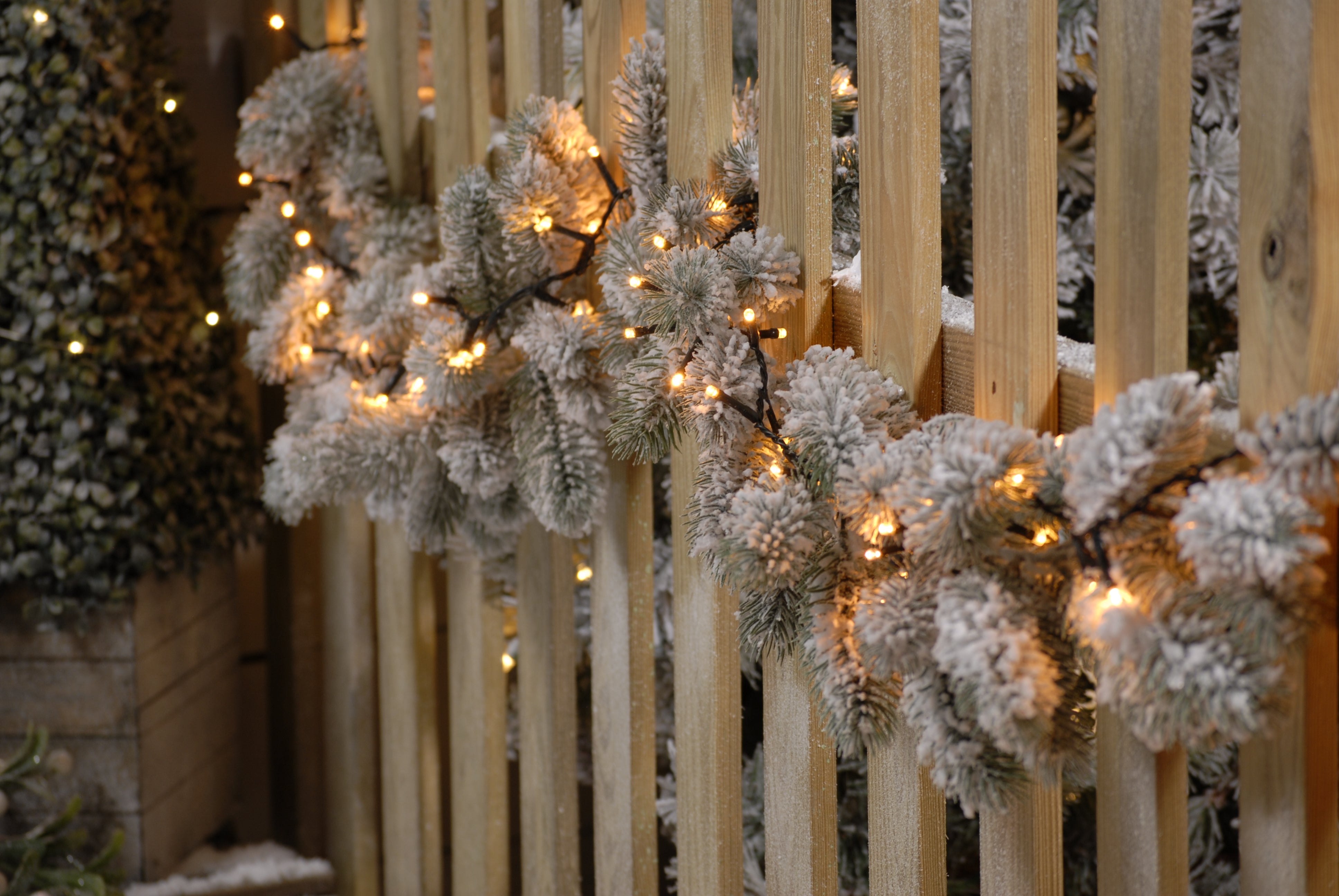 1000 Firefly Warm White Christmas Tree Lights Pines and Needles