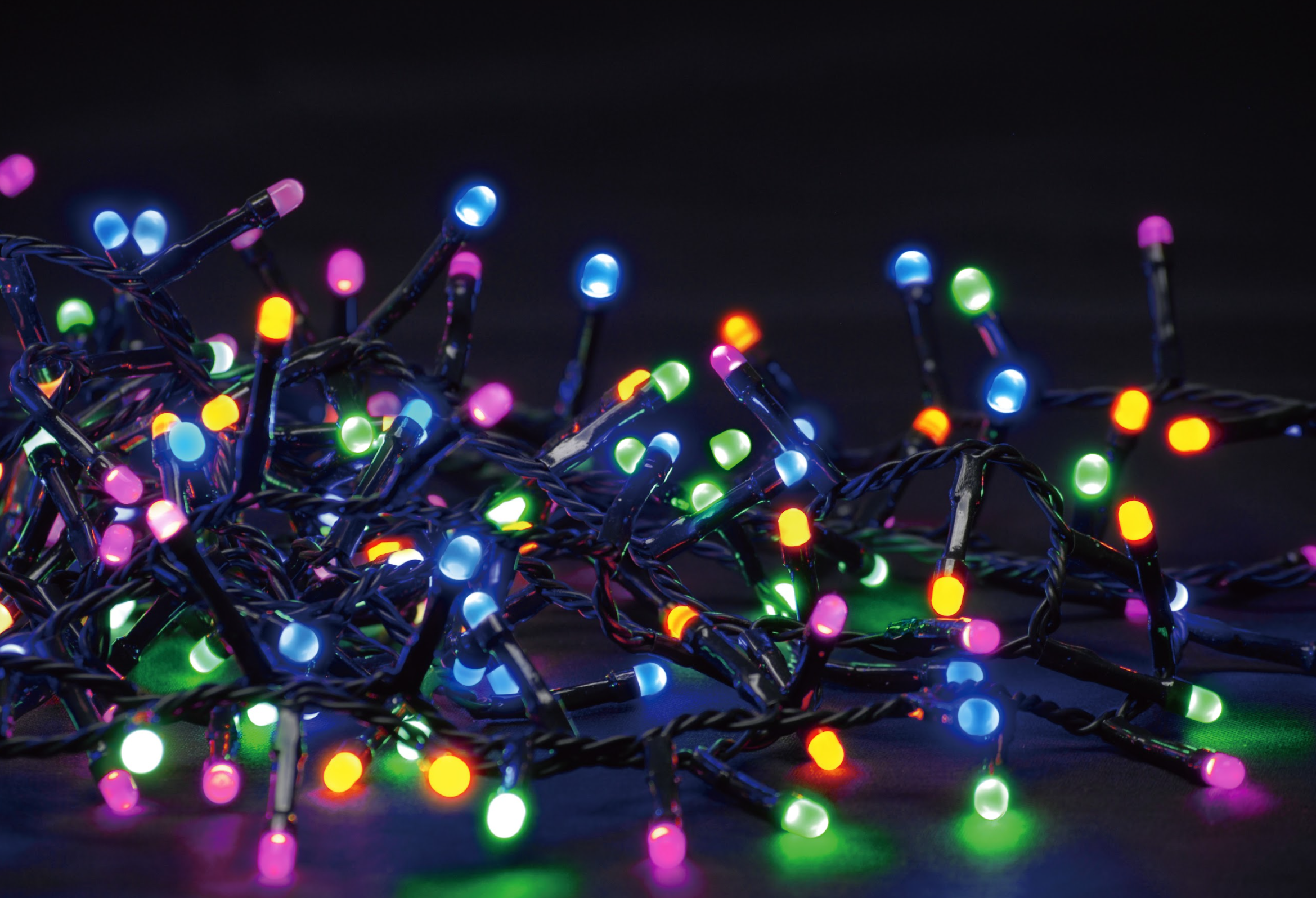1000 Pastel Christmas Lights from Pines and Needles