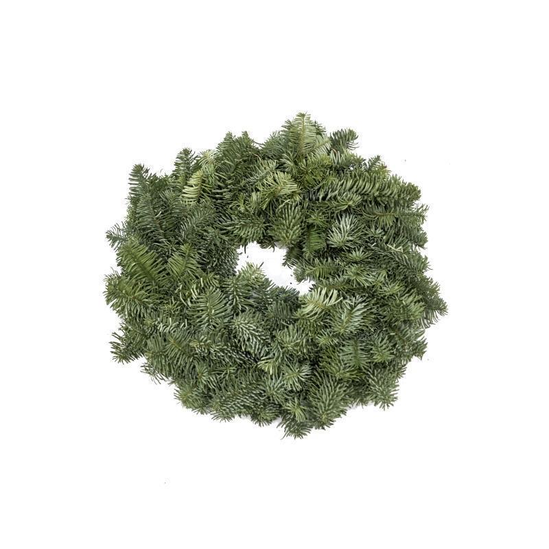 Plain Real Christmas Wreath, 10 inch, from Pines and Needles