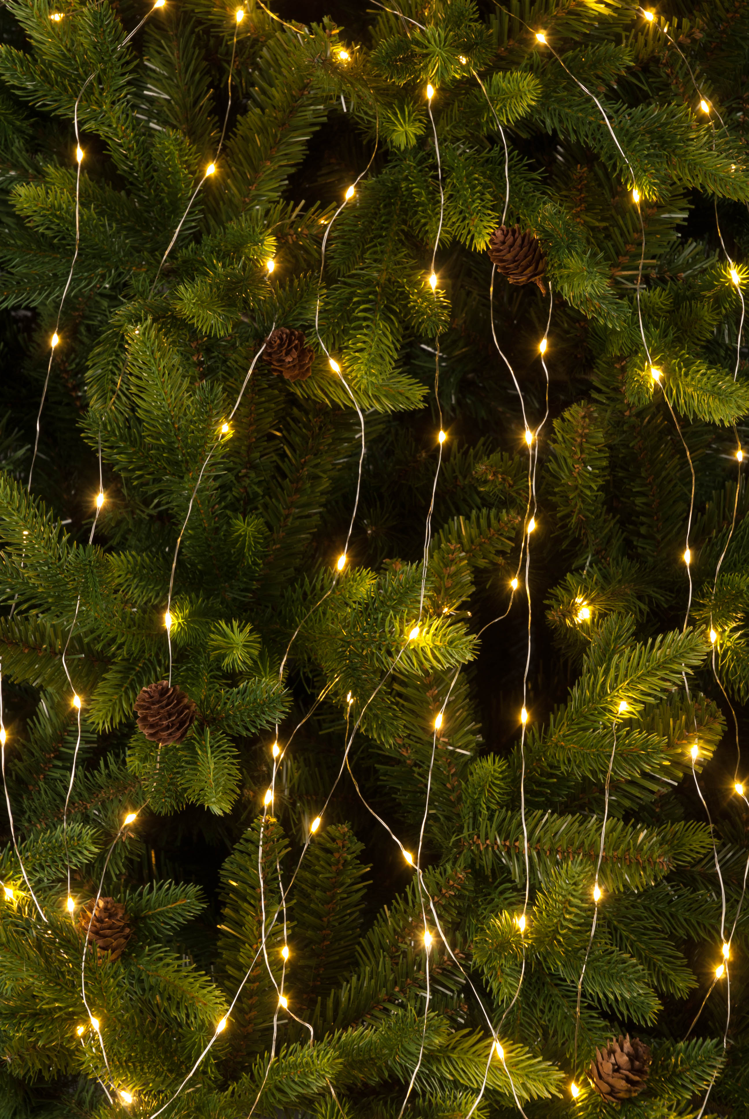 120 Twinkling Cascade Lights in Amber from Pines and Needles