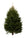 3ft Norway Spruce from Pines and Needles