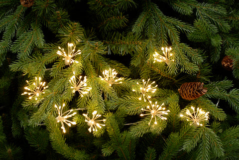 20 Warm White Starburst Twinkling Lights, 400 LED from Pines and Needles