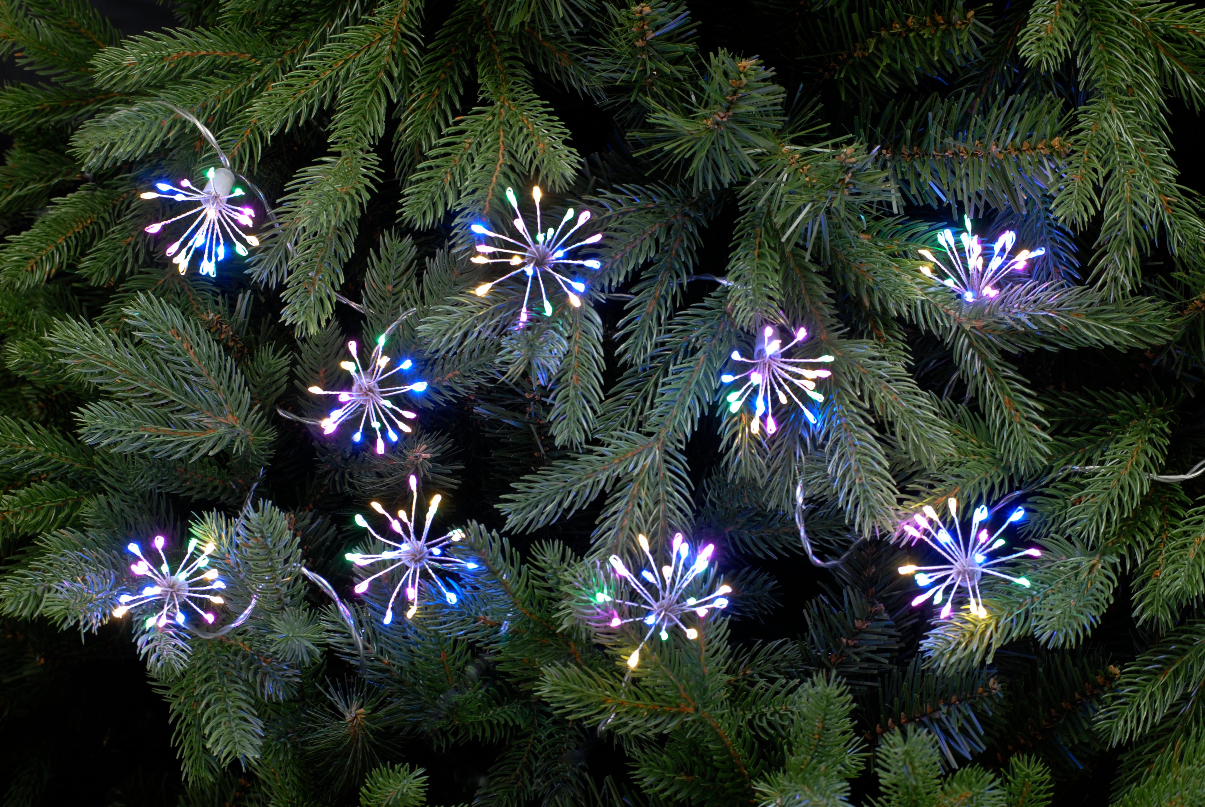 20 Starburst Lights, 400 LED from Pines and Needles