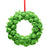 Brussels Sprouts Felt Wreath