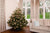 Deluxe Decorated Christmas Tree from Pines and Needles in Gold