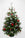 Festive Decorated Christmas Tree in Silver ad Red Decorations