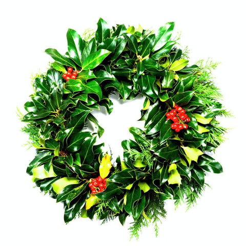 10 inch Real Christmas Holly Wreath