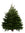 10ft Nordmann Fir Christmas Tree from Pines and Needles