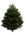 11ft Nordmann Fir Christmas Tree from Pines and Needles