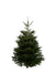 6ft Nordmann Fir Christmas Tree from Pines and Needles
