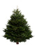 9ft Nordmann Fir Christmas Tree from Pines and Needles