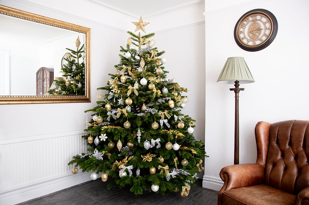 Deluxe Decorated Real Christmas Trees