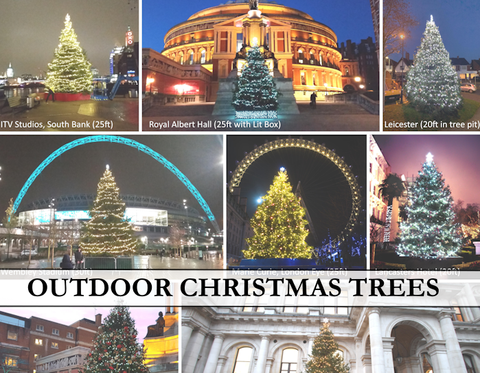 Real Christmas Trees Delivered and Decorated Pines and Needles