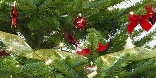 festive decorated christmas tree