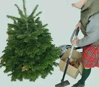 Christmas Tree Recycling Service