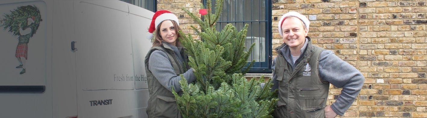 Delivering Christmas Trees in London