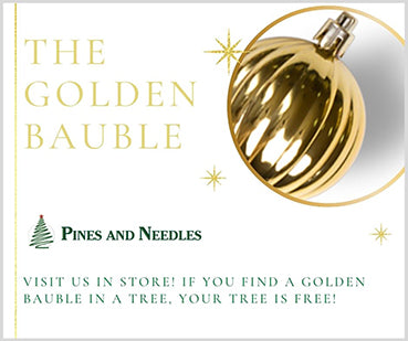 find the golden bauble to get your free tree